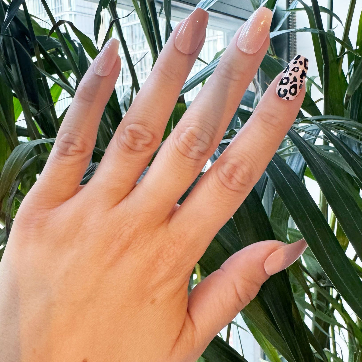 GOING WILD? - US 5473